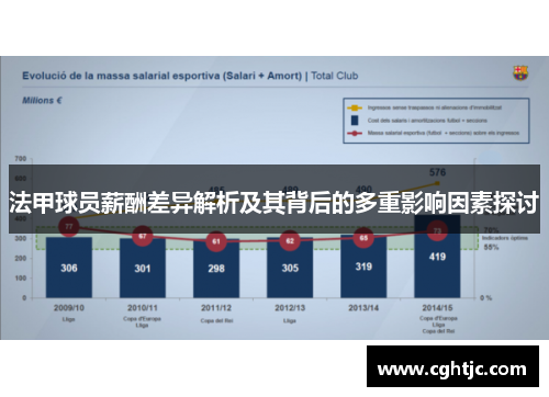 法甲球员薪酬差异解析及其背后的多重影响因素探讨