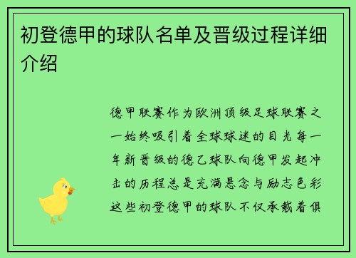 初登德甲的球队名单及晋级过程详细介绍